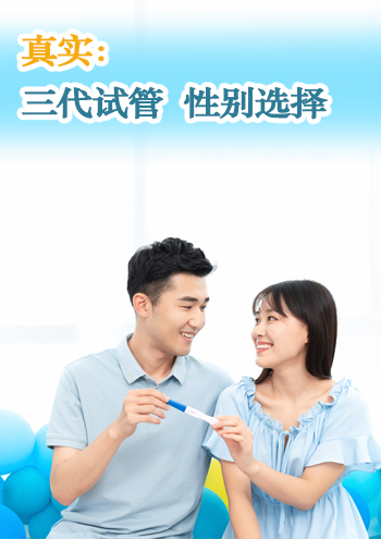 广州代孕合同